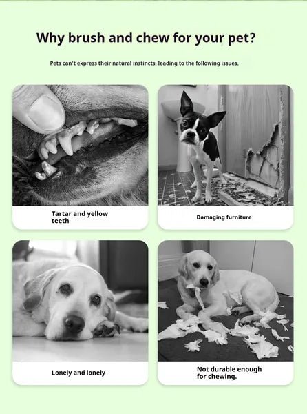 Dog Chew Toy & Teeth Cleaning Brush - Mascotitas