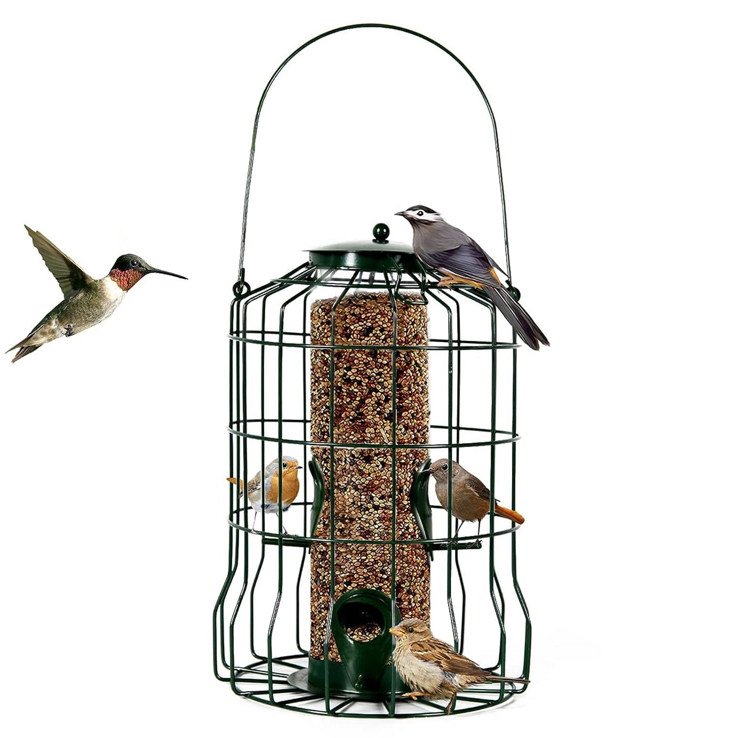 Outdoor Wild Bird Feeder Squirrel-Proof Chew-Proof Metal Hanging Seed Feeder