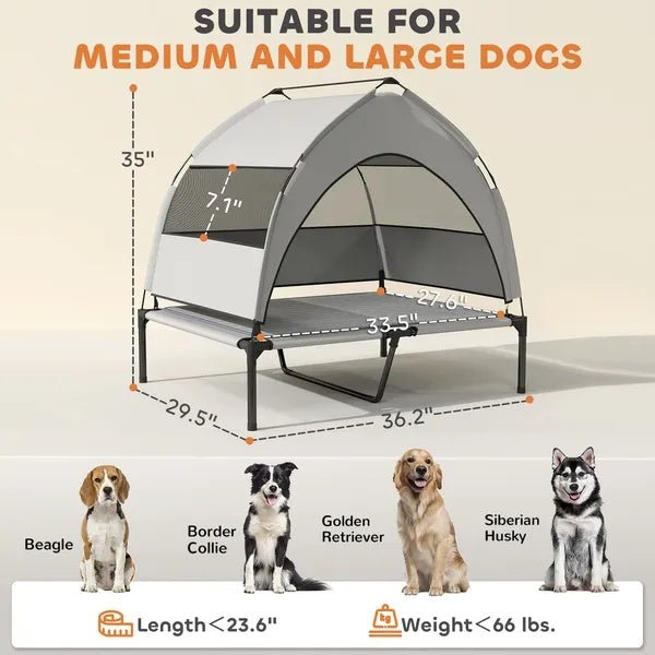 Elevated and portable Dog Bed Removable - Mascotitas