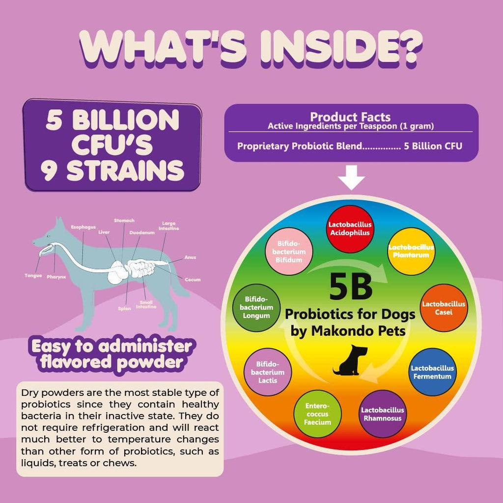 Extra Strength Probiotics for Dogs — 9 Strains - Mascotitas