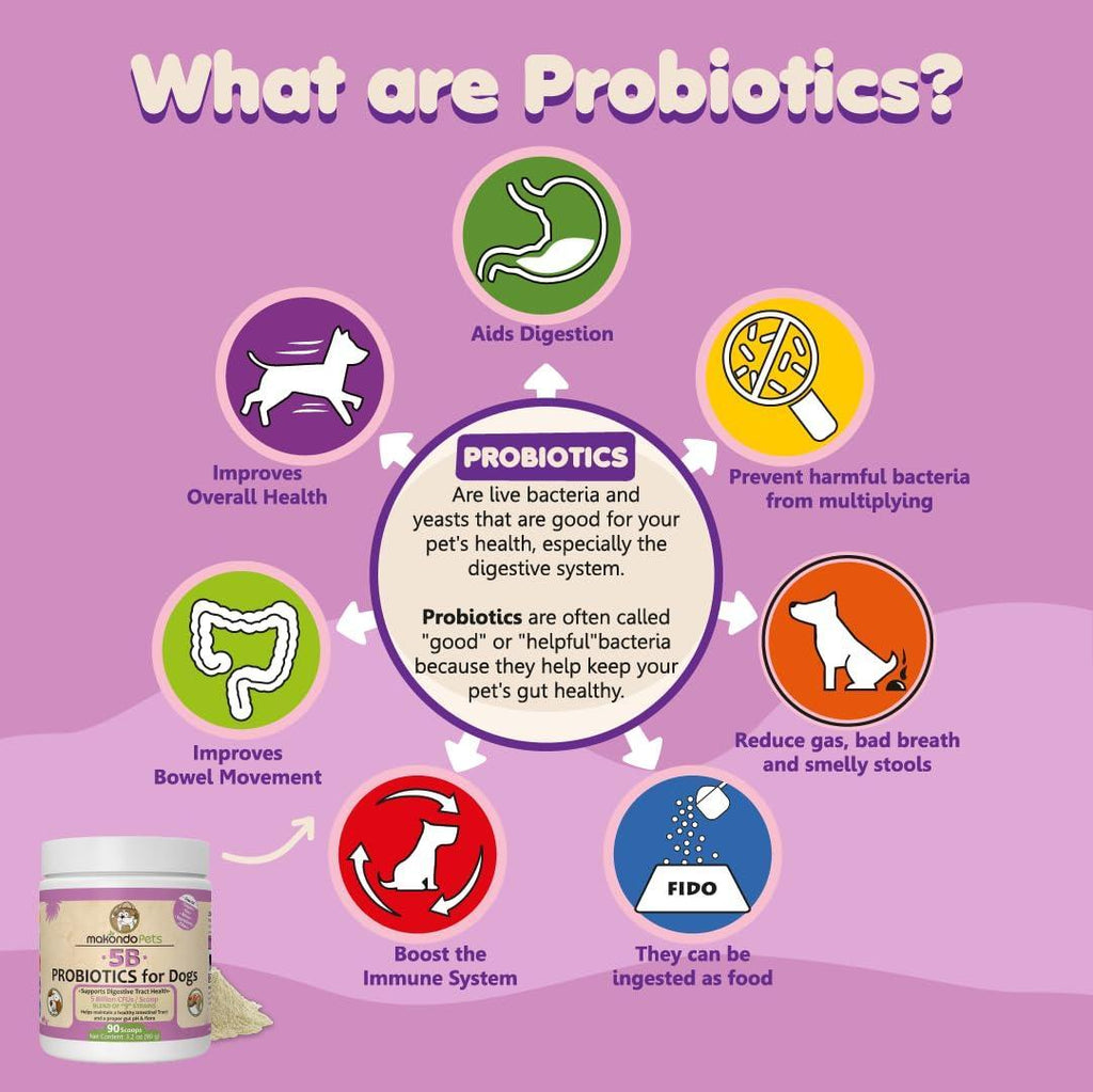 Extra Strength Probiotics for Dogs — 9 Strains - Mascotitas