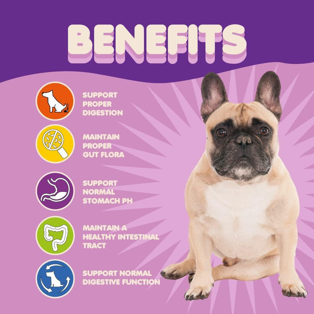 Extra Strength Probiotics for Dogs — 9 Strains - Mascotitas