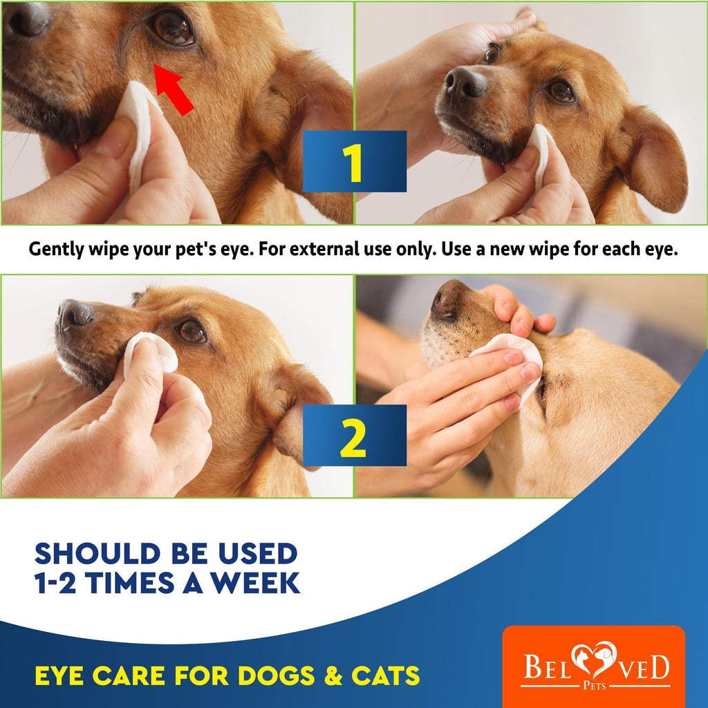 Eye Wash Wipes for Dogs & Cats — 120 Pads - Mascotitas