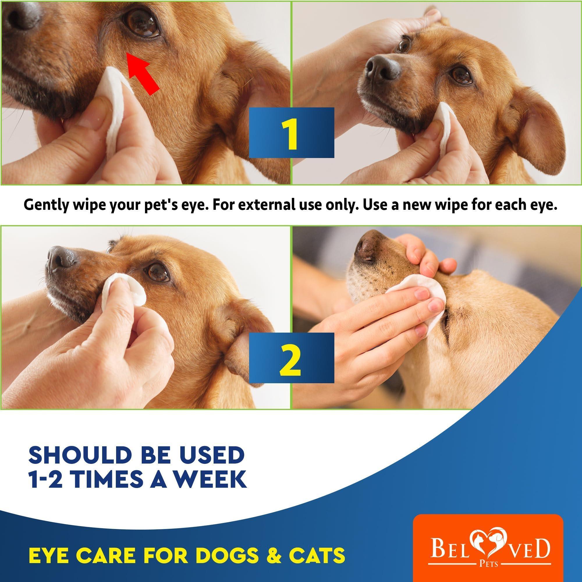 Eye Wash Wipes for Dogs & Cats — 120 Pads - Mascotitas
