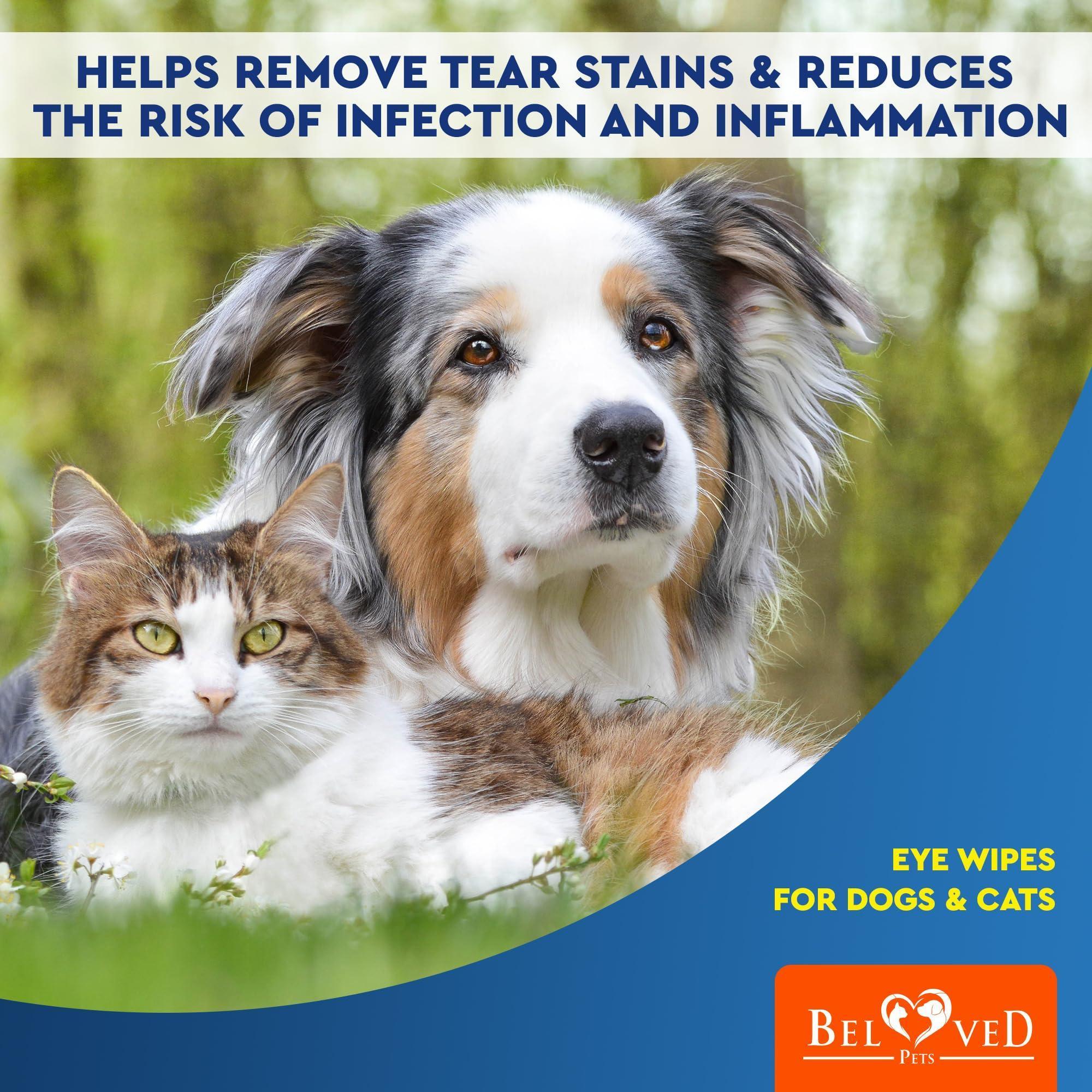 Eye Wash Wipes for Dogs & Cats — 120 Pads - Mascotitas