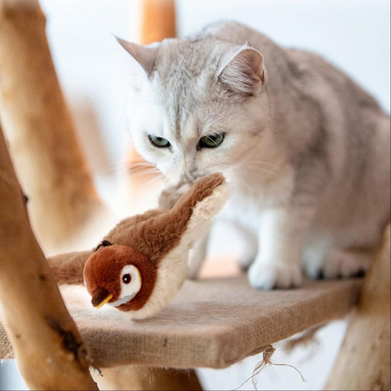 Flapping & Chirping Bird Toy for Indoor Cats - Mascotitas