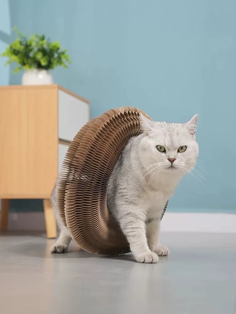 Folding Cat Scratcher, A Magical Foldable Toy - Mascotitas