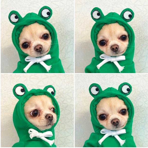 Fruit Print Hoodie for Small Dogs & Cats - Mascotitas