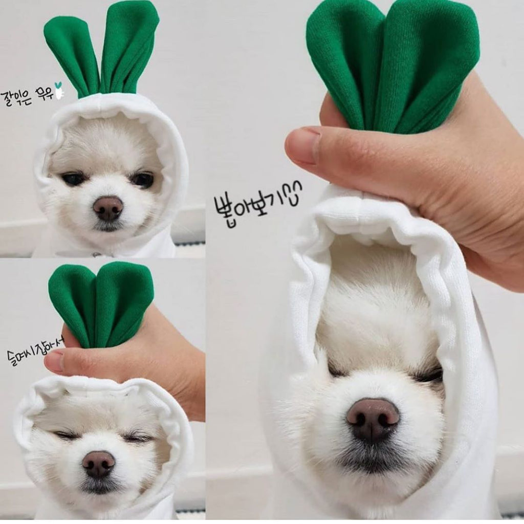 Fruit Print Hoodie for Small Dogs & Cats - Mascotitas