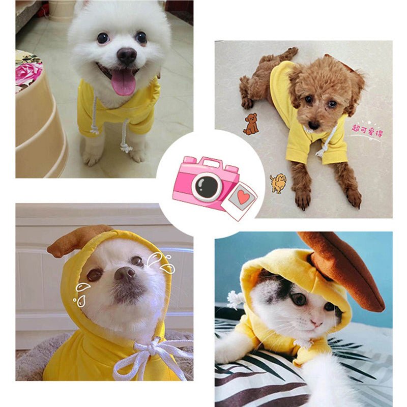 Fruit Print Hoodie for Small Dogs & Cats - Mascotitas