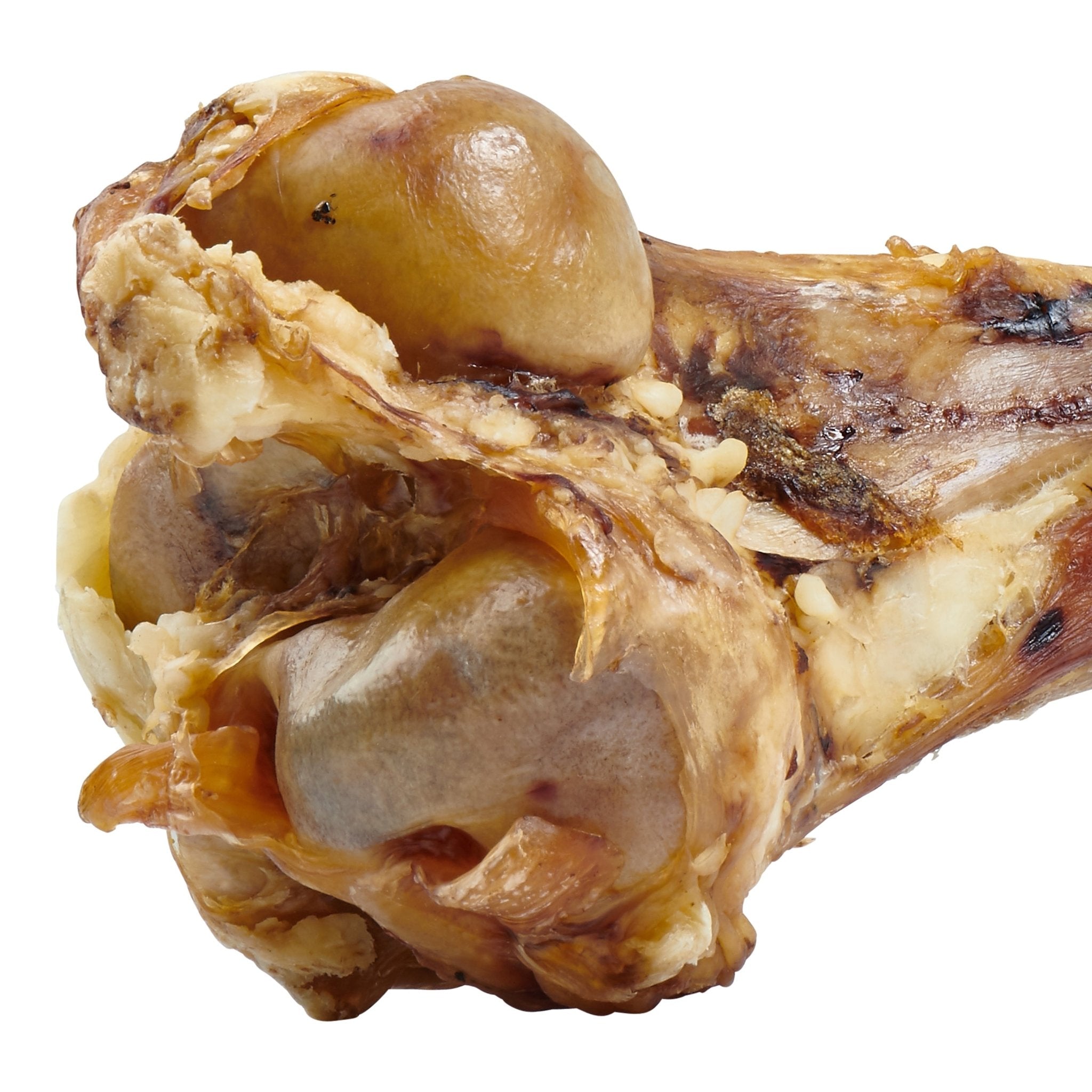 Giant Dog Bone - Grass - Fed Beef Femur Bone for Large Dogs - Mascotitas