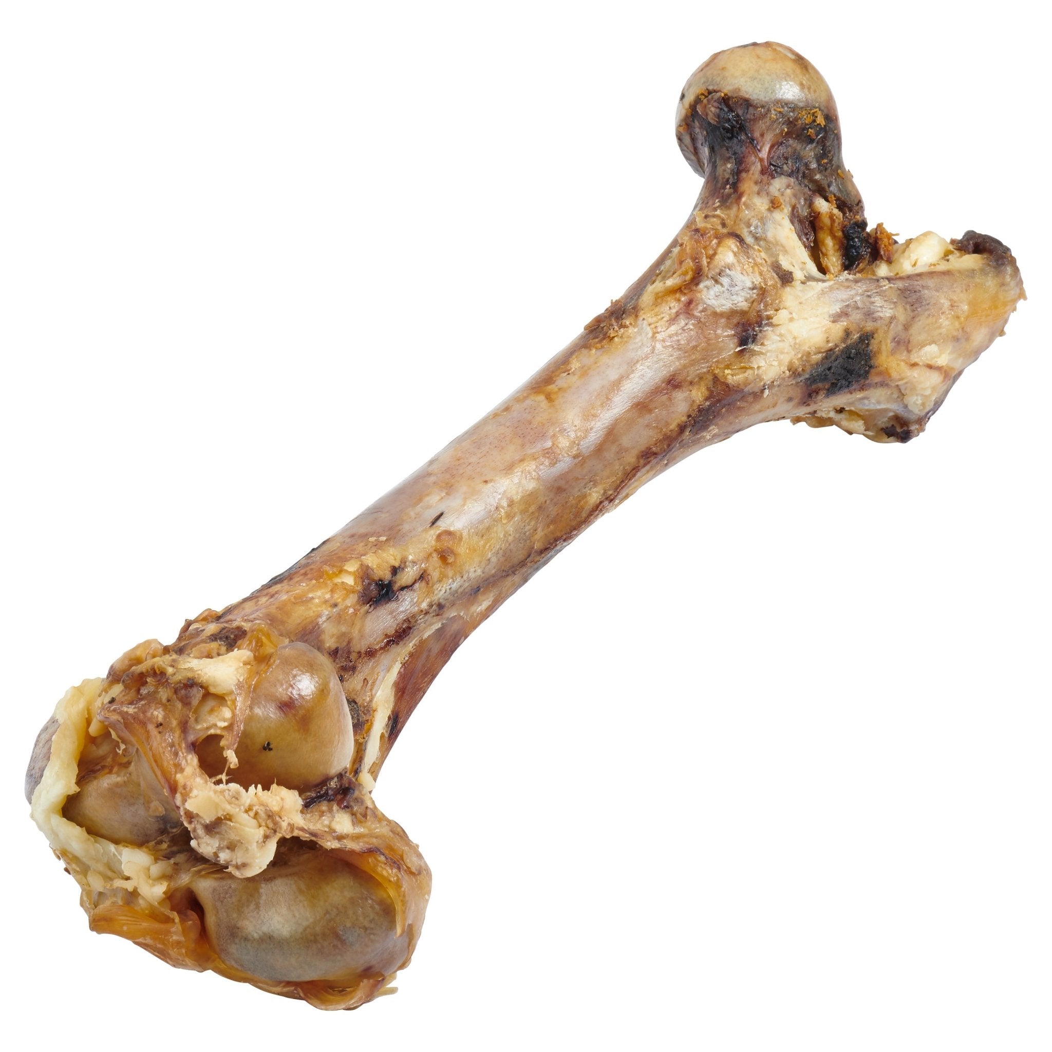 Giant Dog Bone - Grass - Fed Beef Femur Bone for Large Dogs - Mascotitas