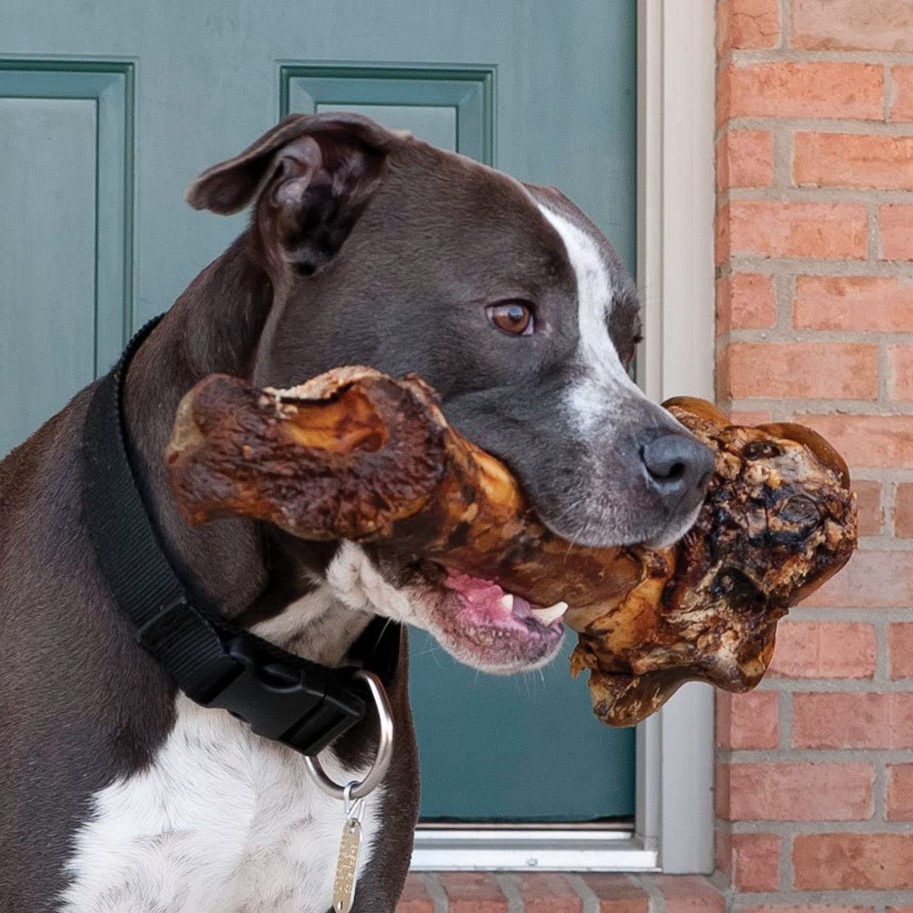 Giant Dog Bone - Grass - Fed Beef Femur Bone for Large Dogs - Mascotitas