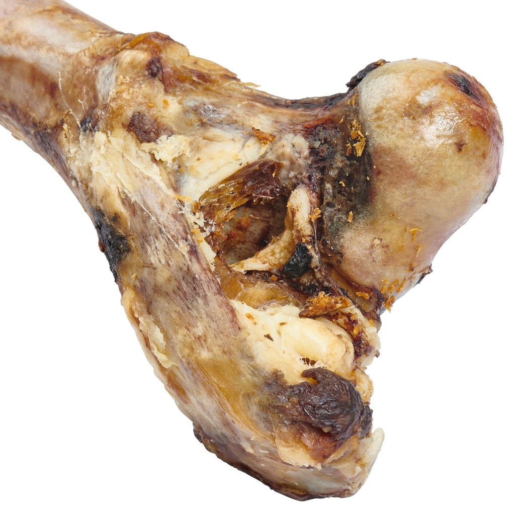 Giant Dog Bone - Grass - Fed Beef Femur Bone for Large Dogs - Mascotitas