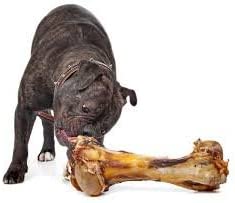 Giant Dog Bone - Grass - Fed Beef Femur Bone for Large Dogs - Mascotitas
