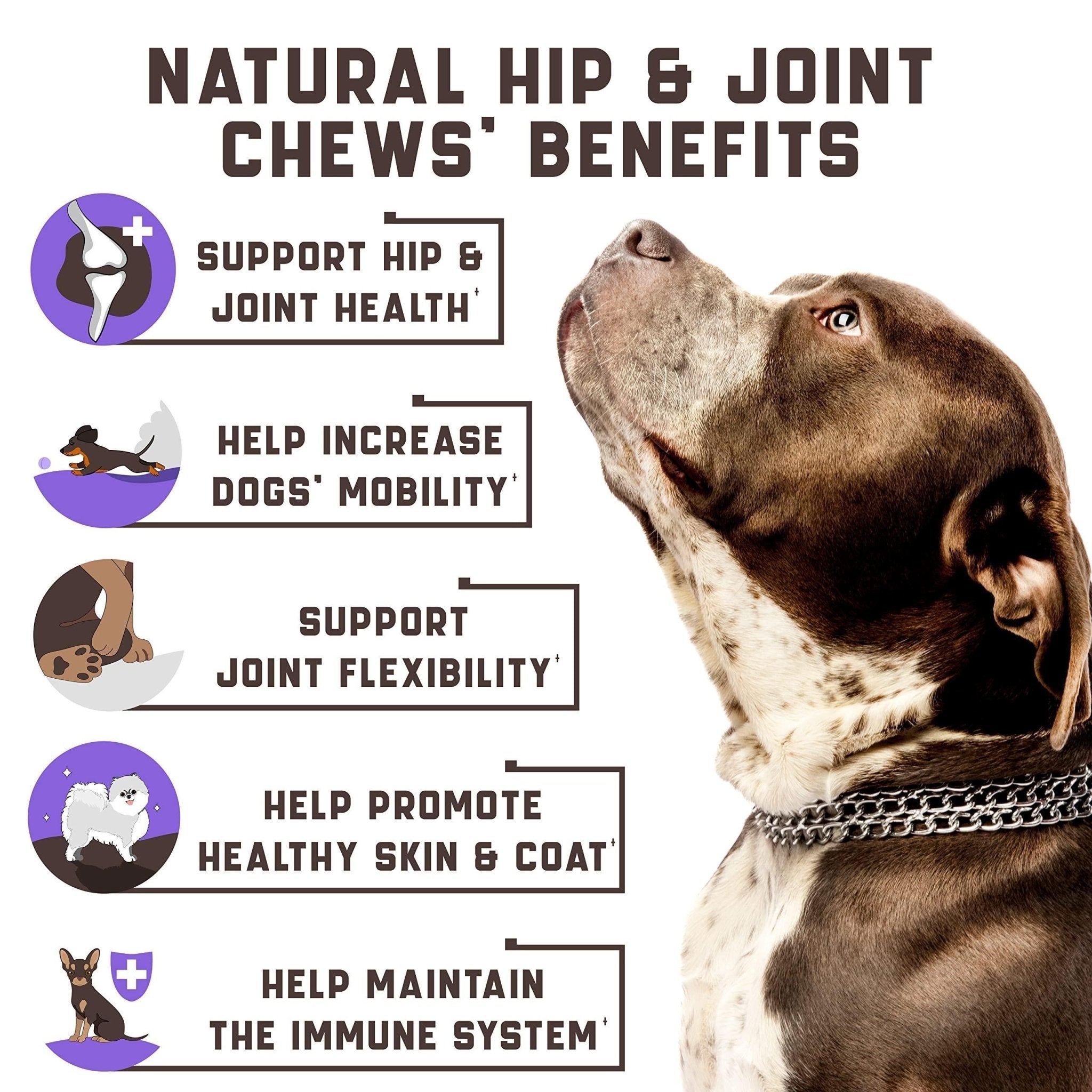 Glucosamine & Chondroitin Joint Chews for Dogs - Mascotitas