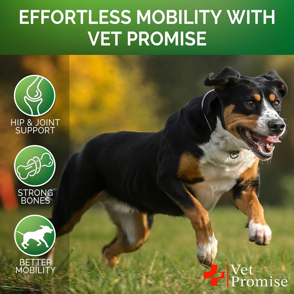 Glucosamine for Dogs Hip and Joint Supplement for Dogs 120 Mobility Chews - Mascotitas