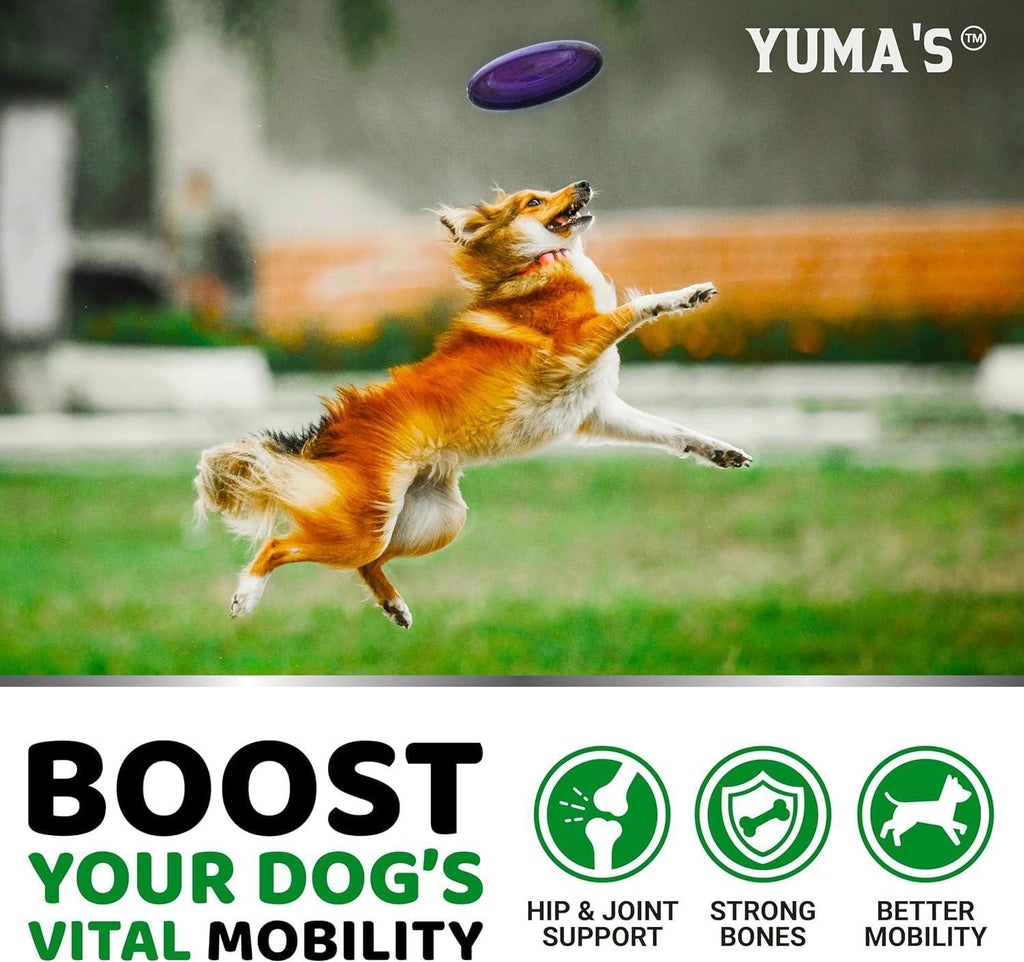 Glucosamine for Dogs with Chondroitin — 2 Pack - Mascotitas