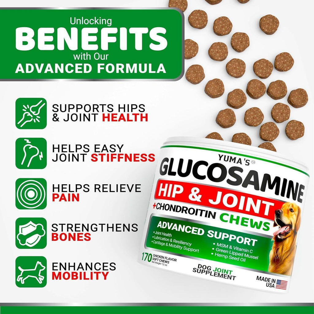 Glucosamine for Dogs with Chondroitin — 2 Pack - Mascotitas