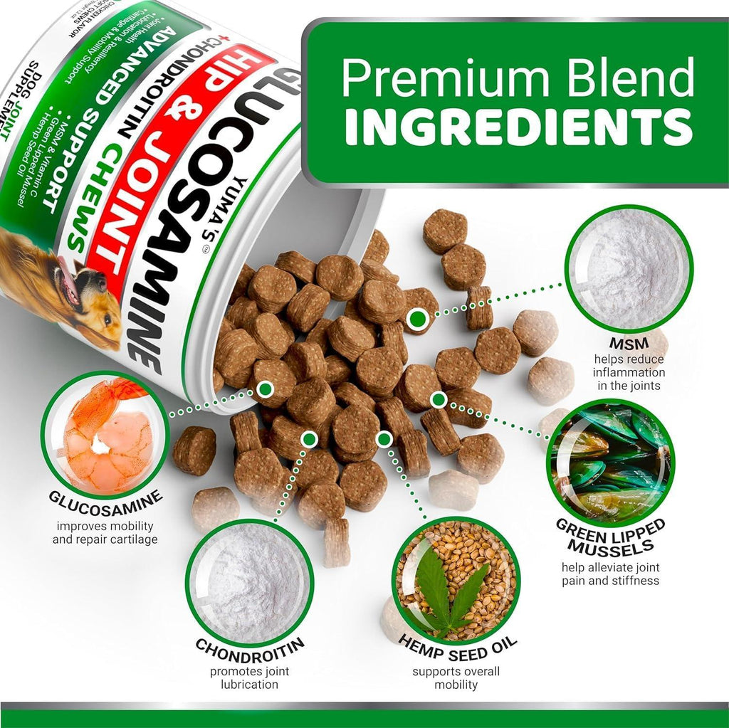 Glucosamine for Dogs with Chondroitin — 2 Pack - Mascotitas