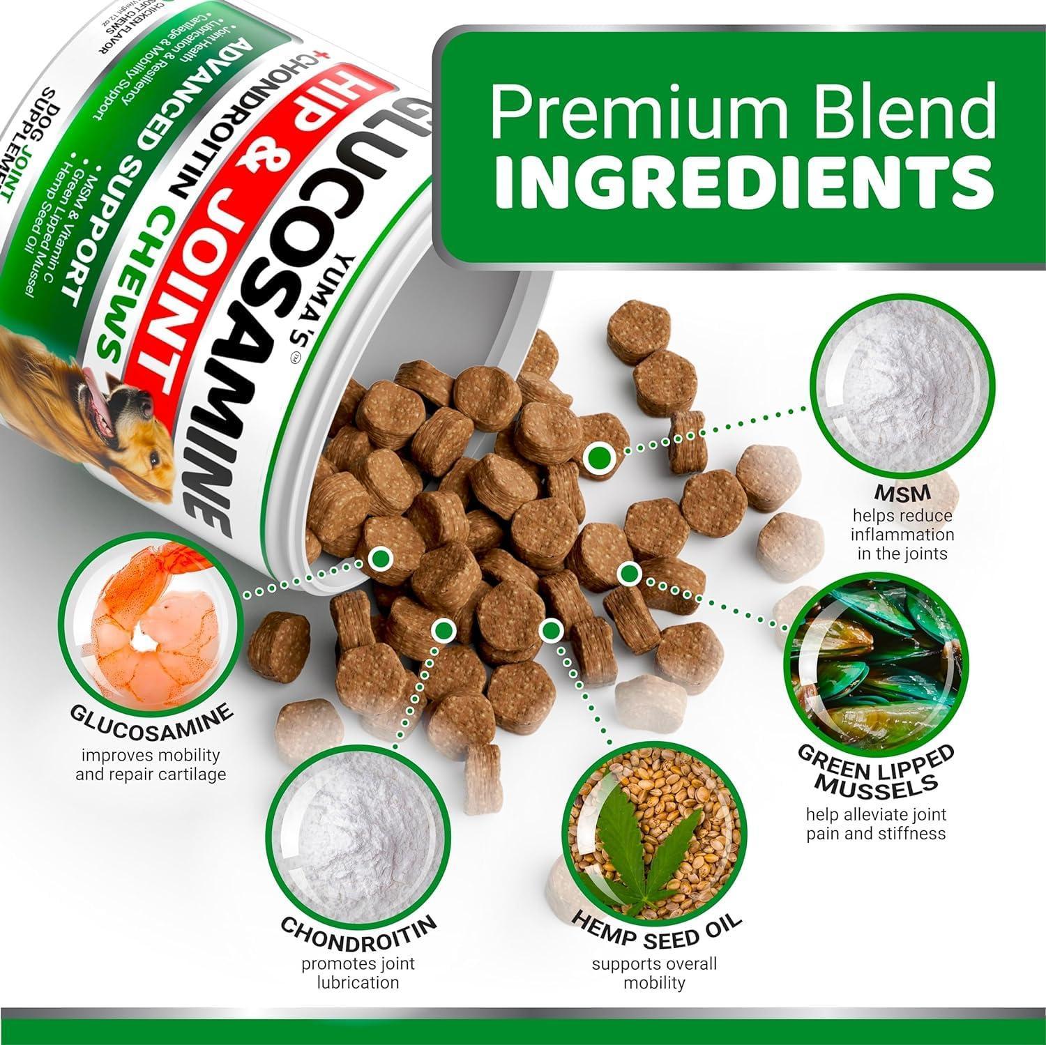 Glucosamine for Dogs with Chondroitin — 2 Pack - Mascotitas