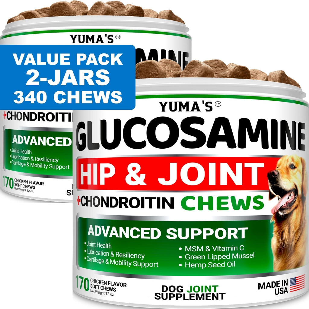 Glucosamine for Dogs with Chondroitin — 2 Pack - Mascotitas