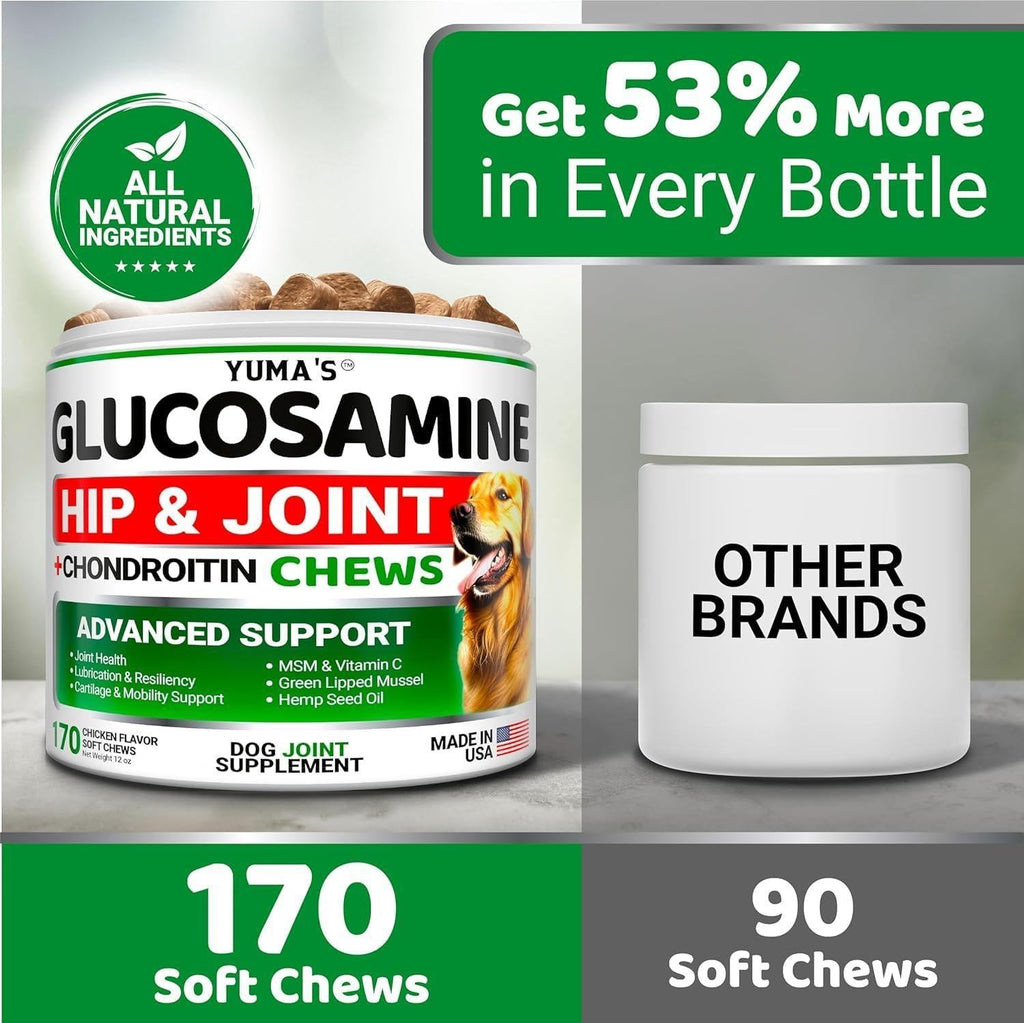 Glucosamine for Dogs with Chondroitin — 2 Pack - Mascotitas