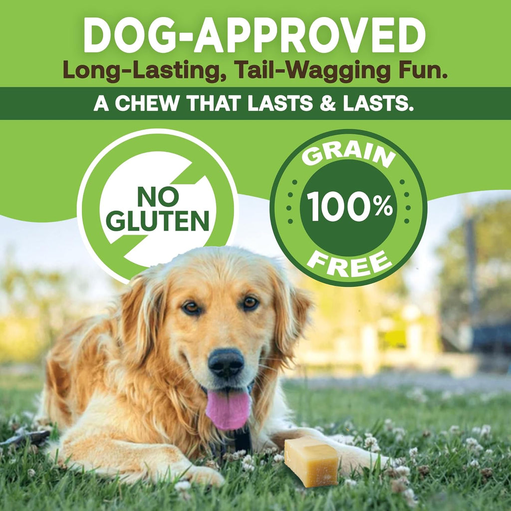 Gold Yak Chews for Medium Dogs (3 Medium Sized Chews) - Mascotitas