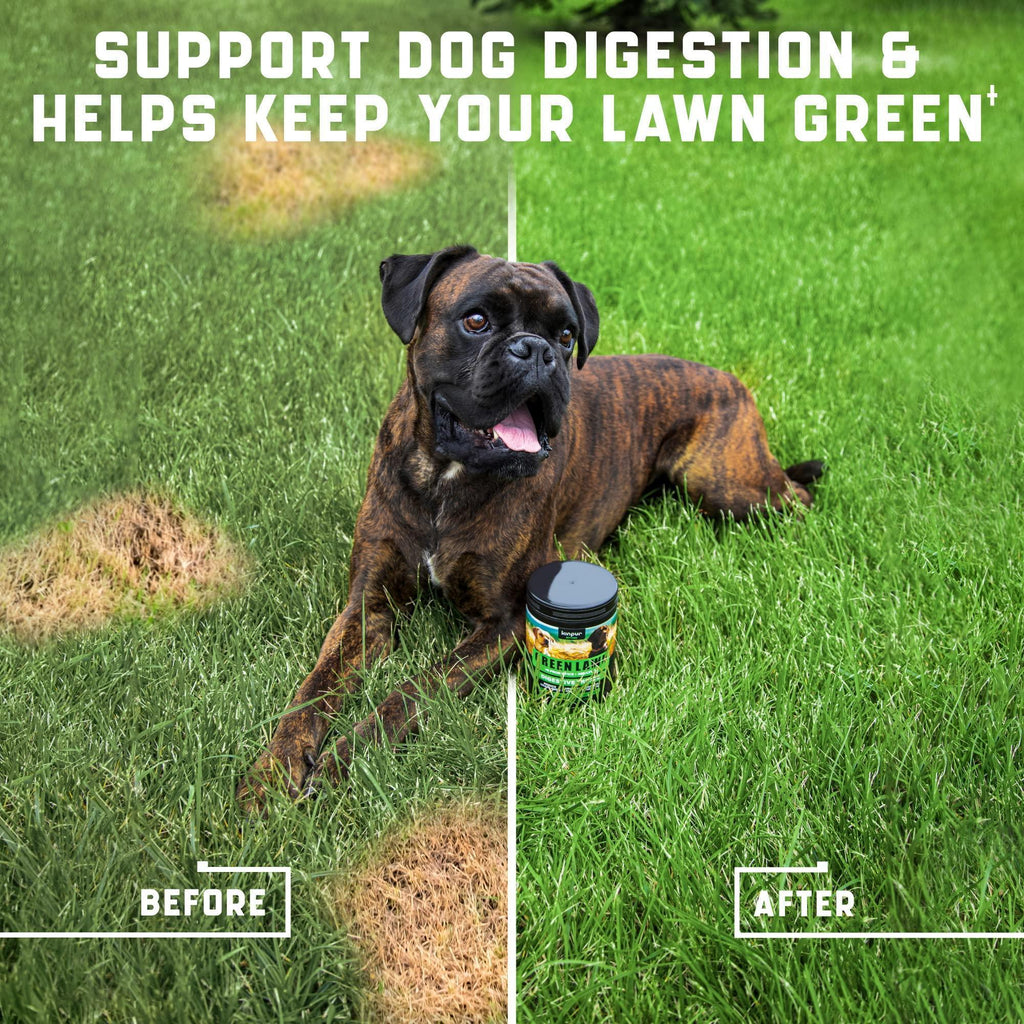 Green Lawn Chews with Cranberry & ACV for Dogs - Mascotitas