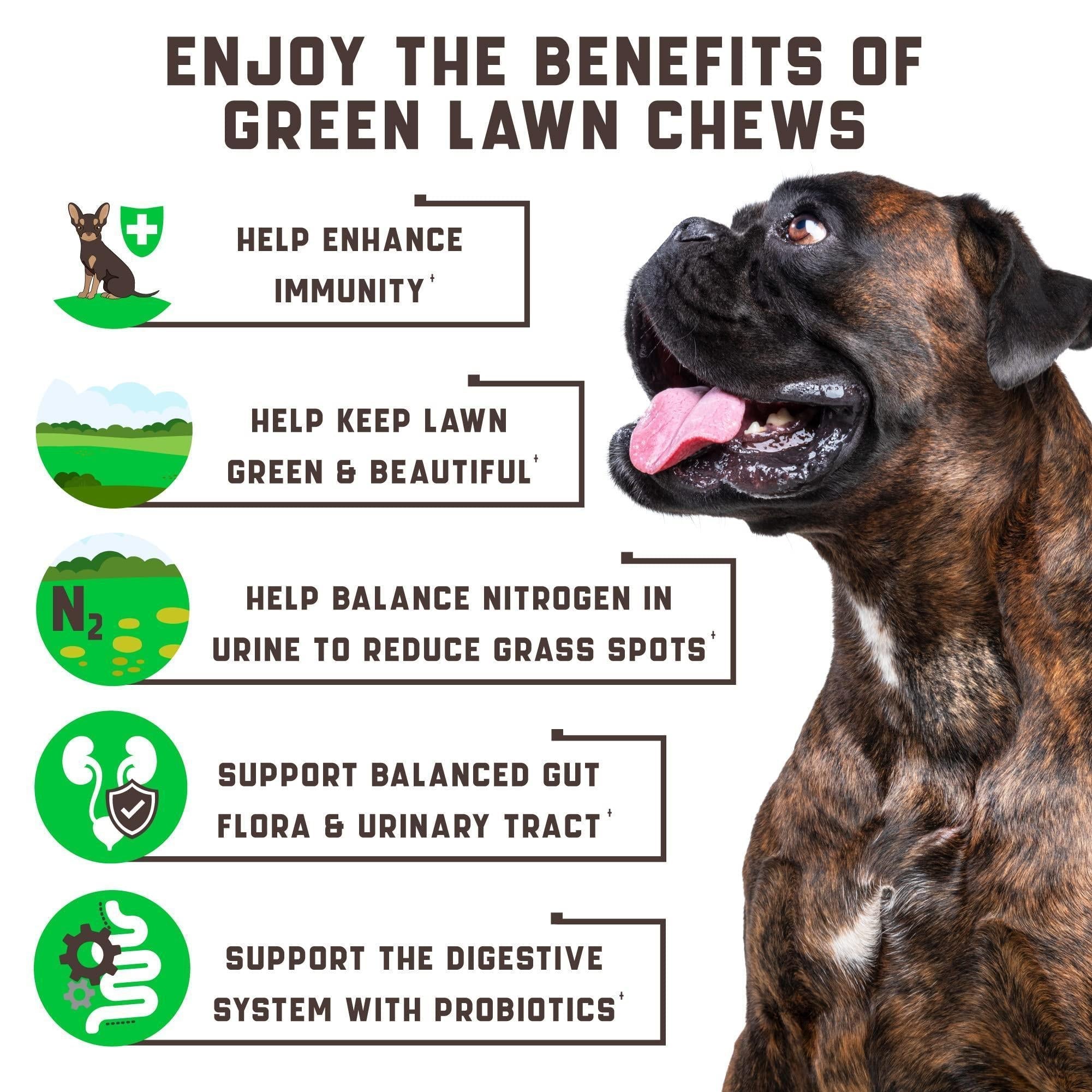 Green Lawn Chews with Cranberry & ACV for Dogs - Mascotitas