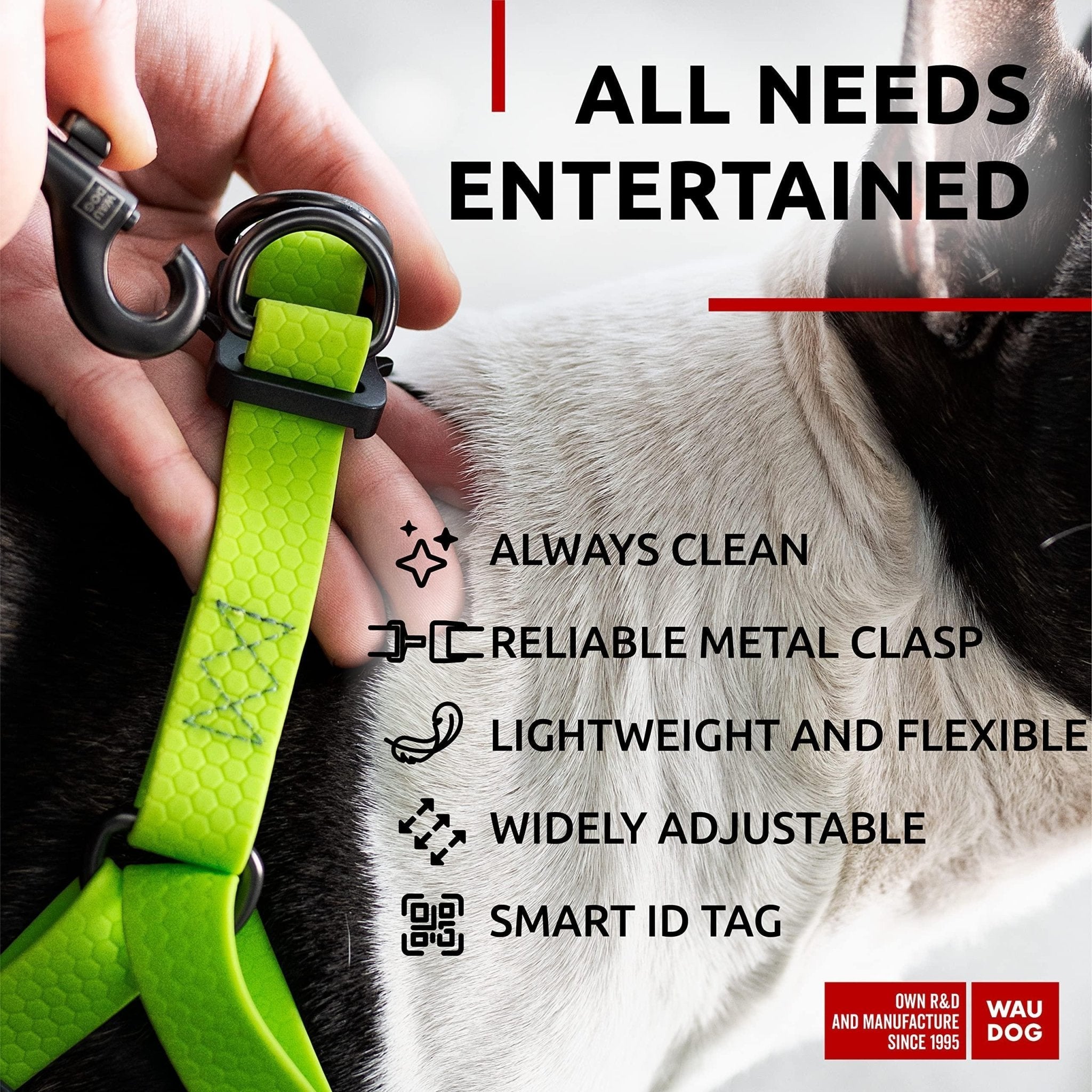 Green Waterproof Harness for Small Dogs - Mascotitas