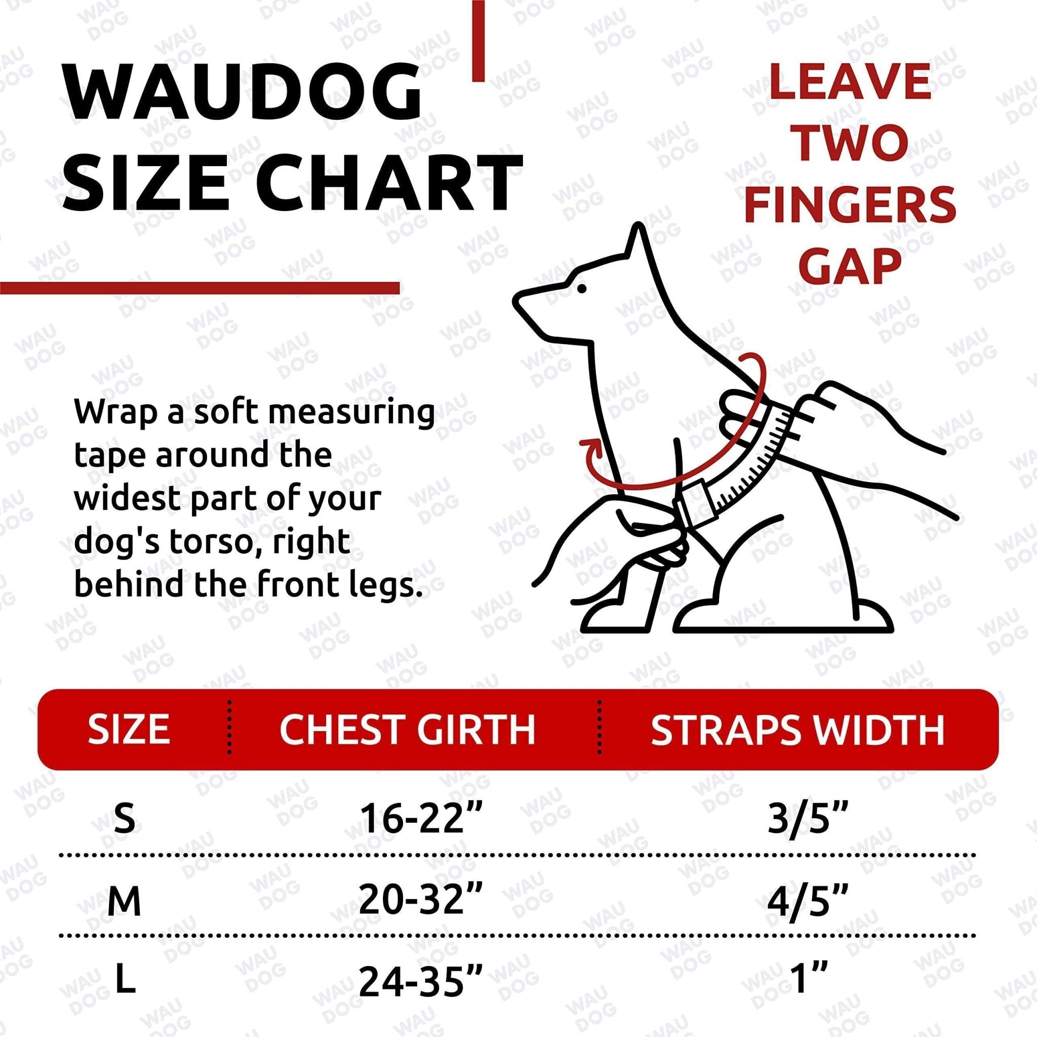 Green Waterproof Harness for Small Dogs - Mascotitas