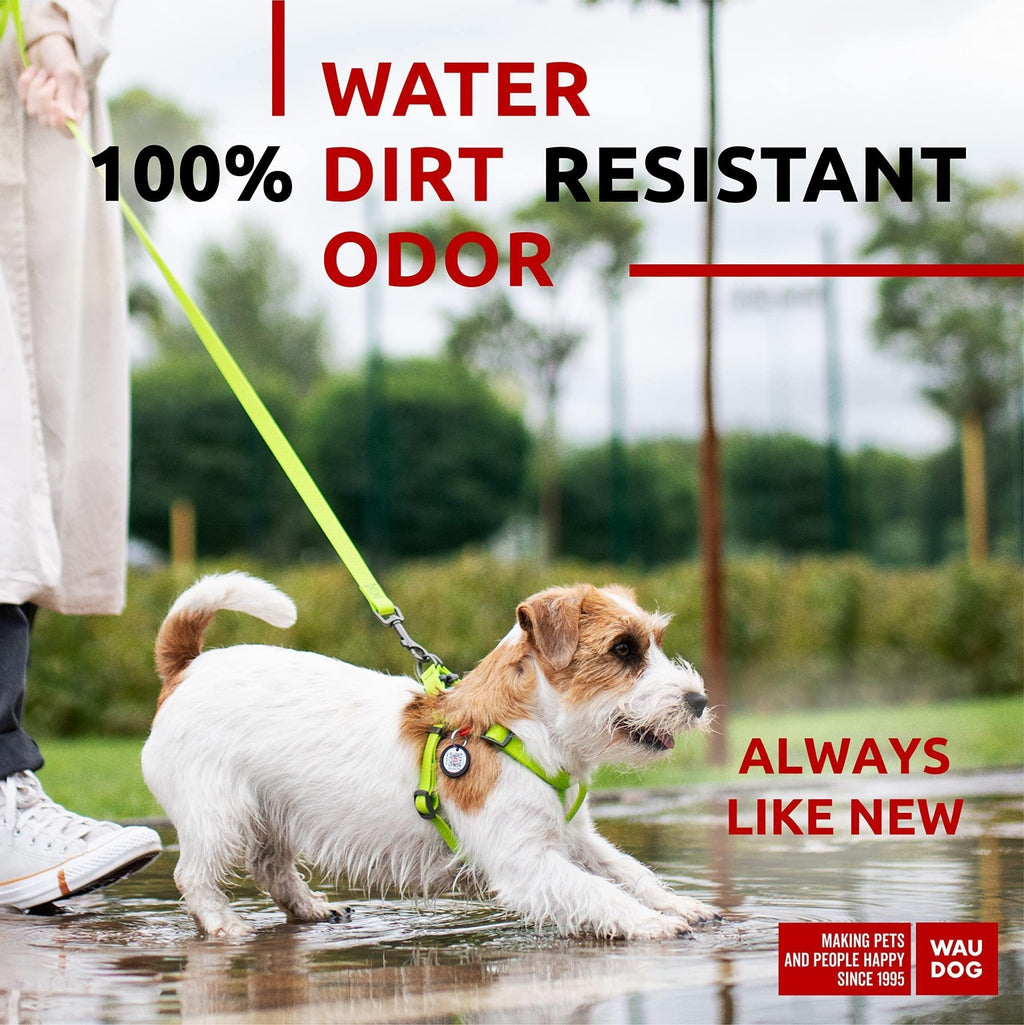 Green Waterproof Harness for Small Dogs - Mascotitas