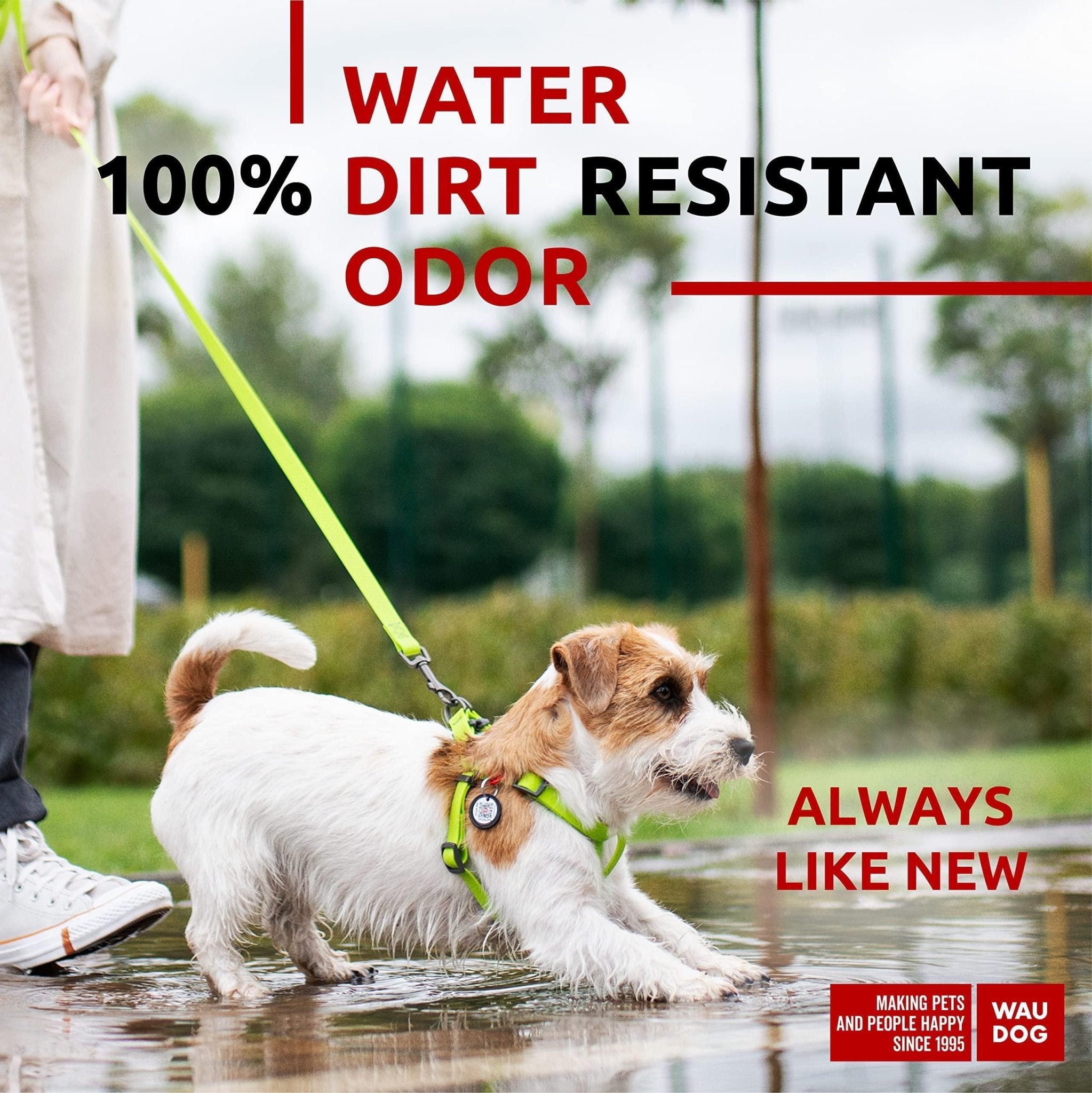 Green Waterproof Harness for Small Dogs - Mascotitas