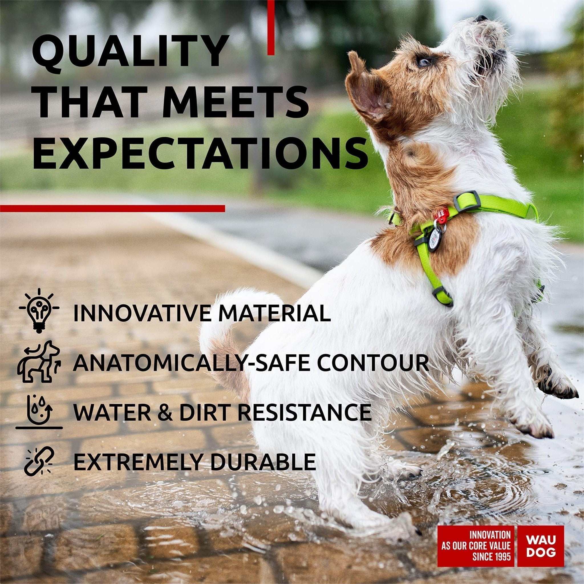 Green Waterproof Harness for Small Dogs - Mascotitas