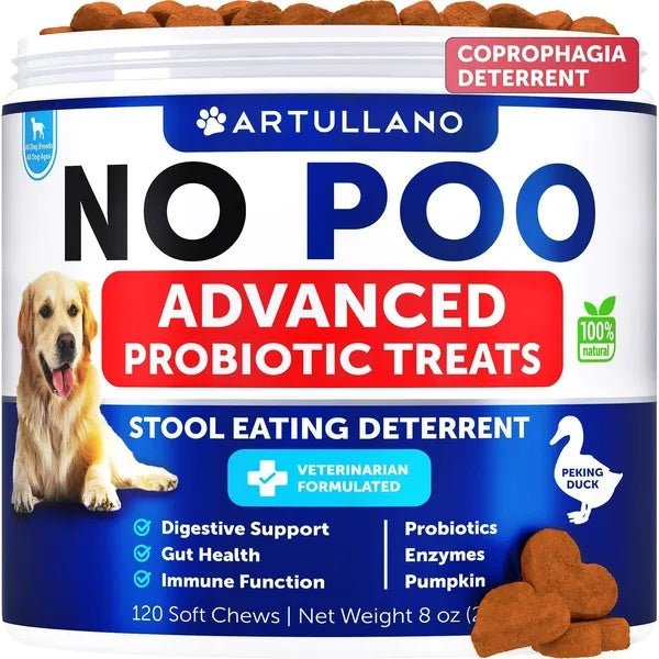 Gut Health Support Supplement - Mascotitas