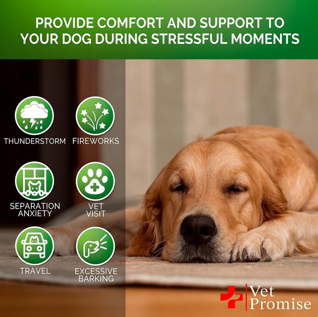 Hemp Calming Chews for Dogs — 120 Treats - Mascotitas