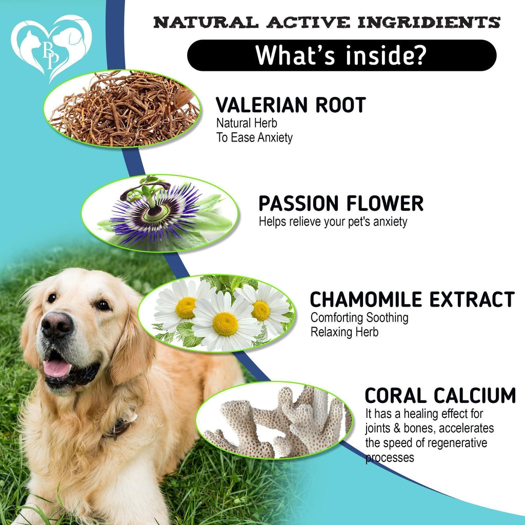 Hemp Calming Chews for Dogs — Anxiety Relief - Mascotitas