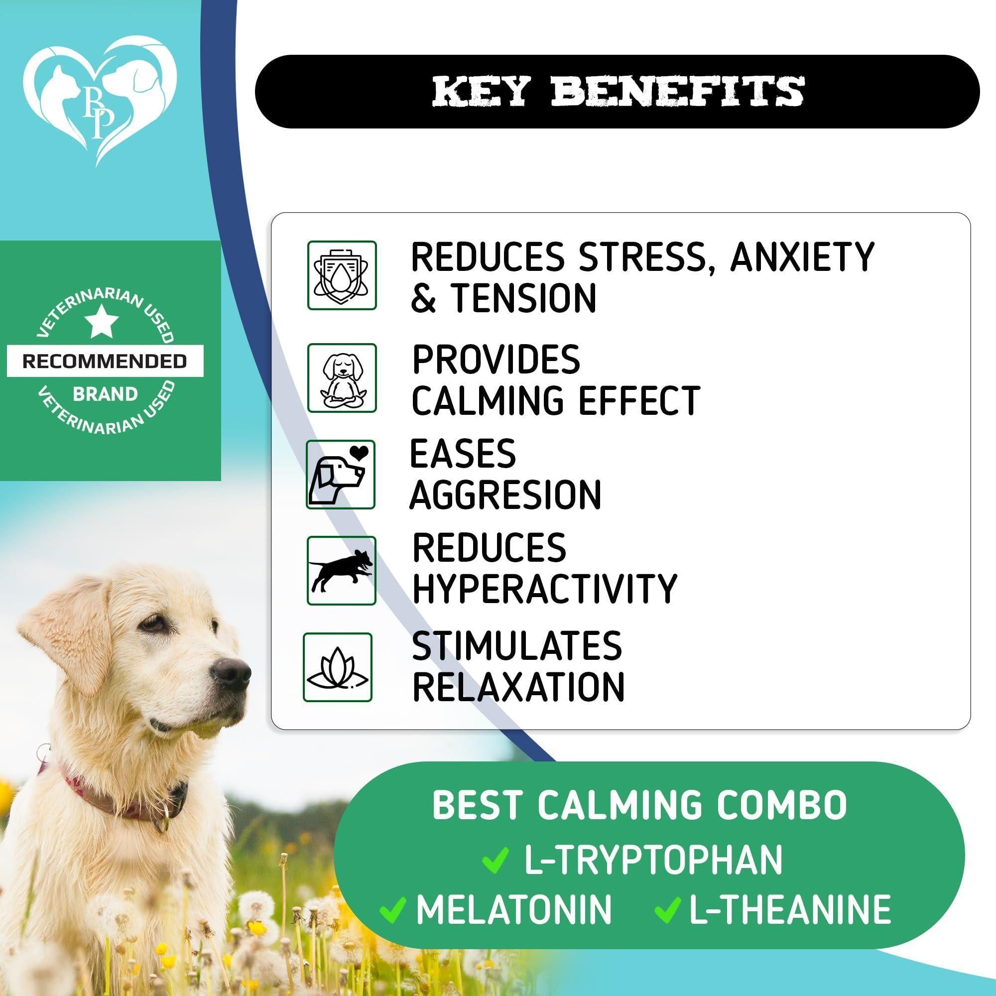 Hemp Calming Chews for Dogs — Anxiety Relief - Mascotitas