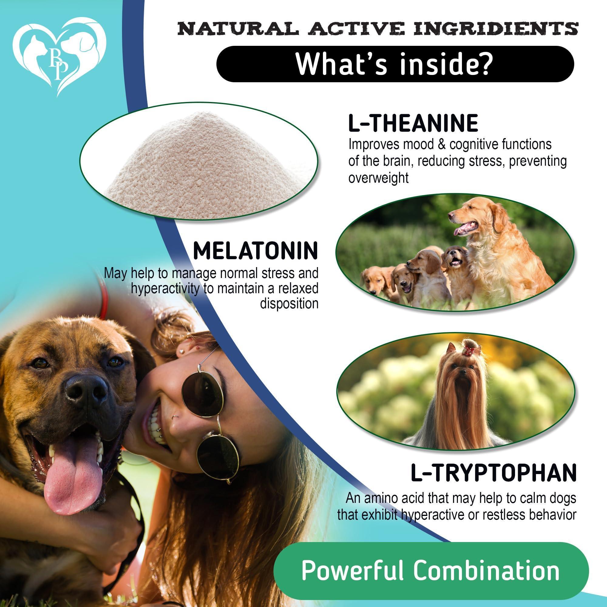 Hemp Calming Chews for Dogs — Anxiety Relief - Mascotitas