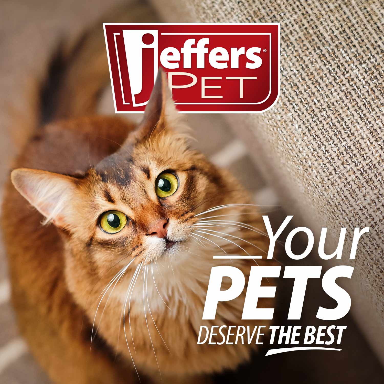 Jeffers Double - Sided Flex Head Pet Grooming Slicker Brush - Mascotitas