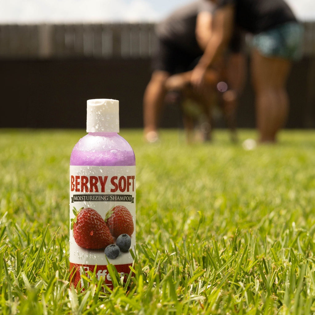 Jeffers Moisturizing Shampoos for Pets - Mascotitas