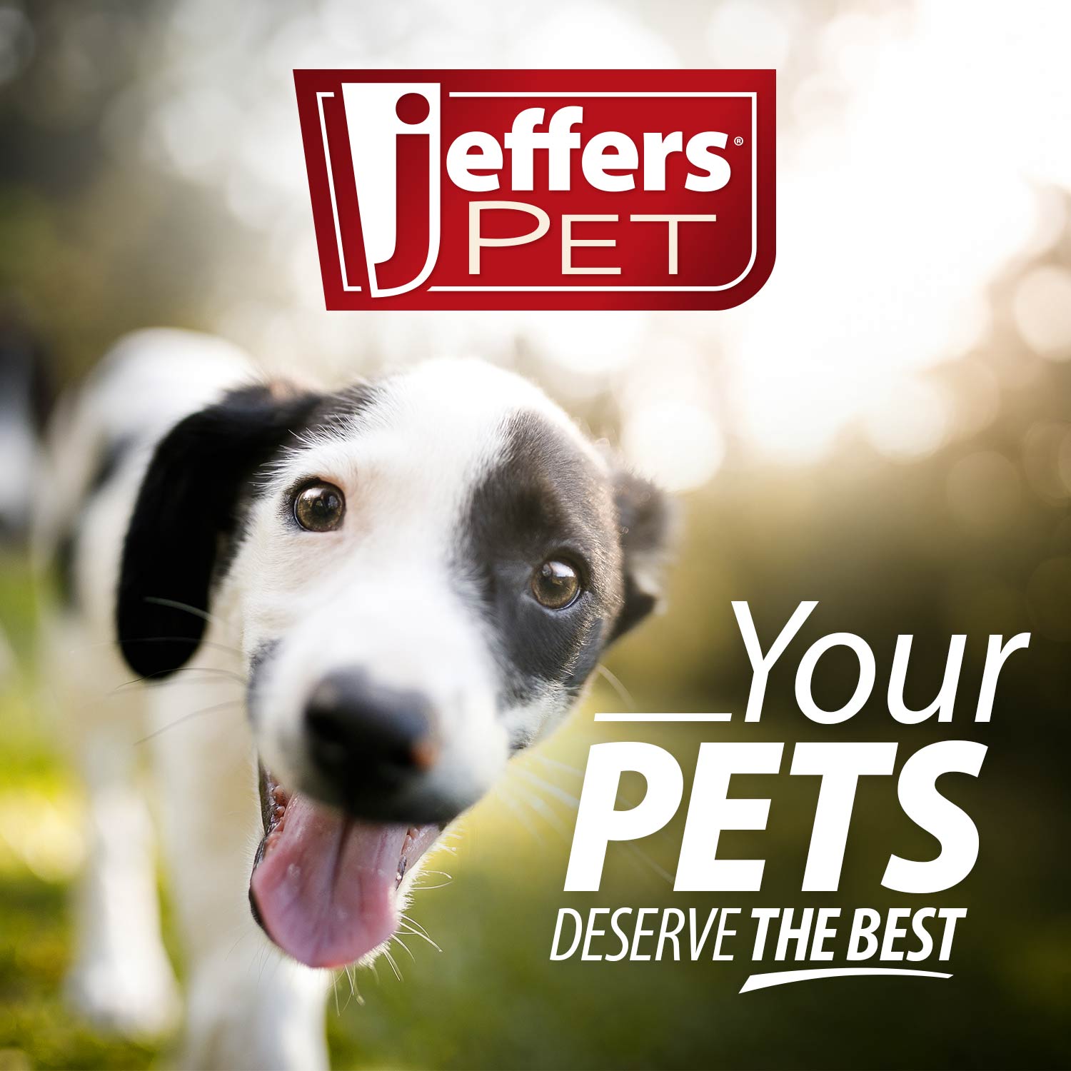 Jeffers Moisturizing Shampoos for Pets - Mascotitas
