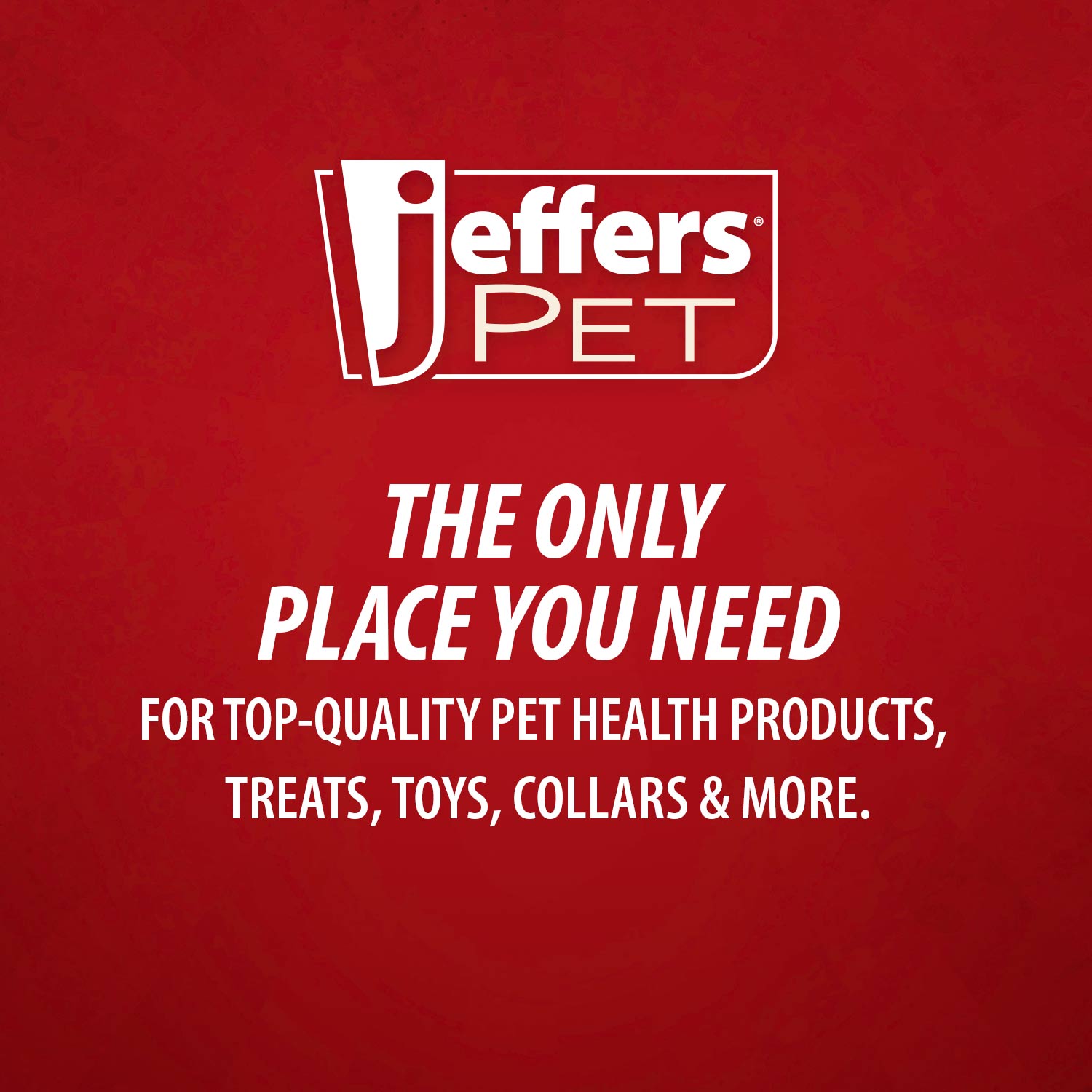 Jeffers Pet Baby Powder Tearless Conditioning Shampoo for Puppies and Kittens - Mascotitas