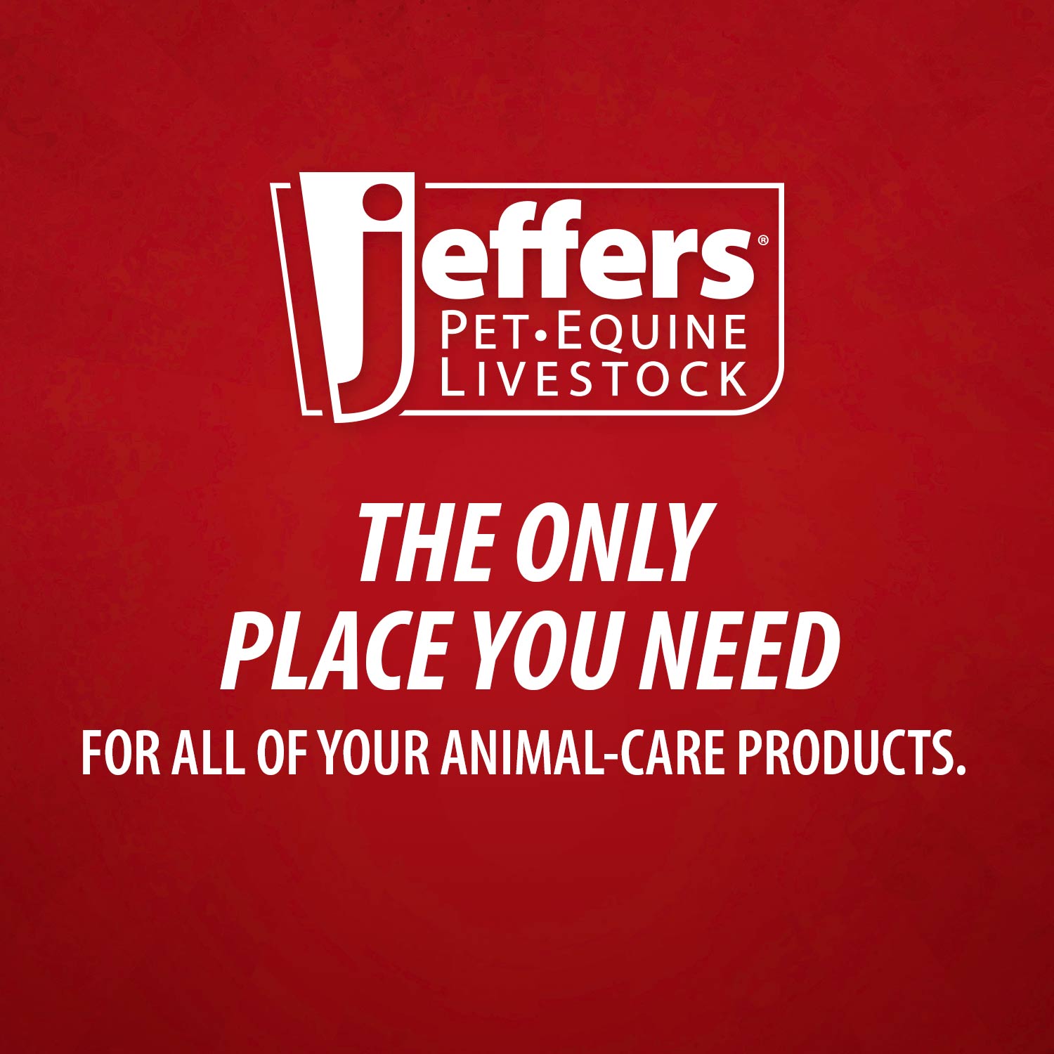 Jeffers Super - Sulfur Skin & Wound Healing Paste for Pets, Horses, & Livestock - Mascotitas