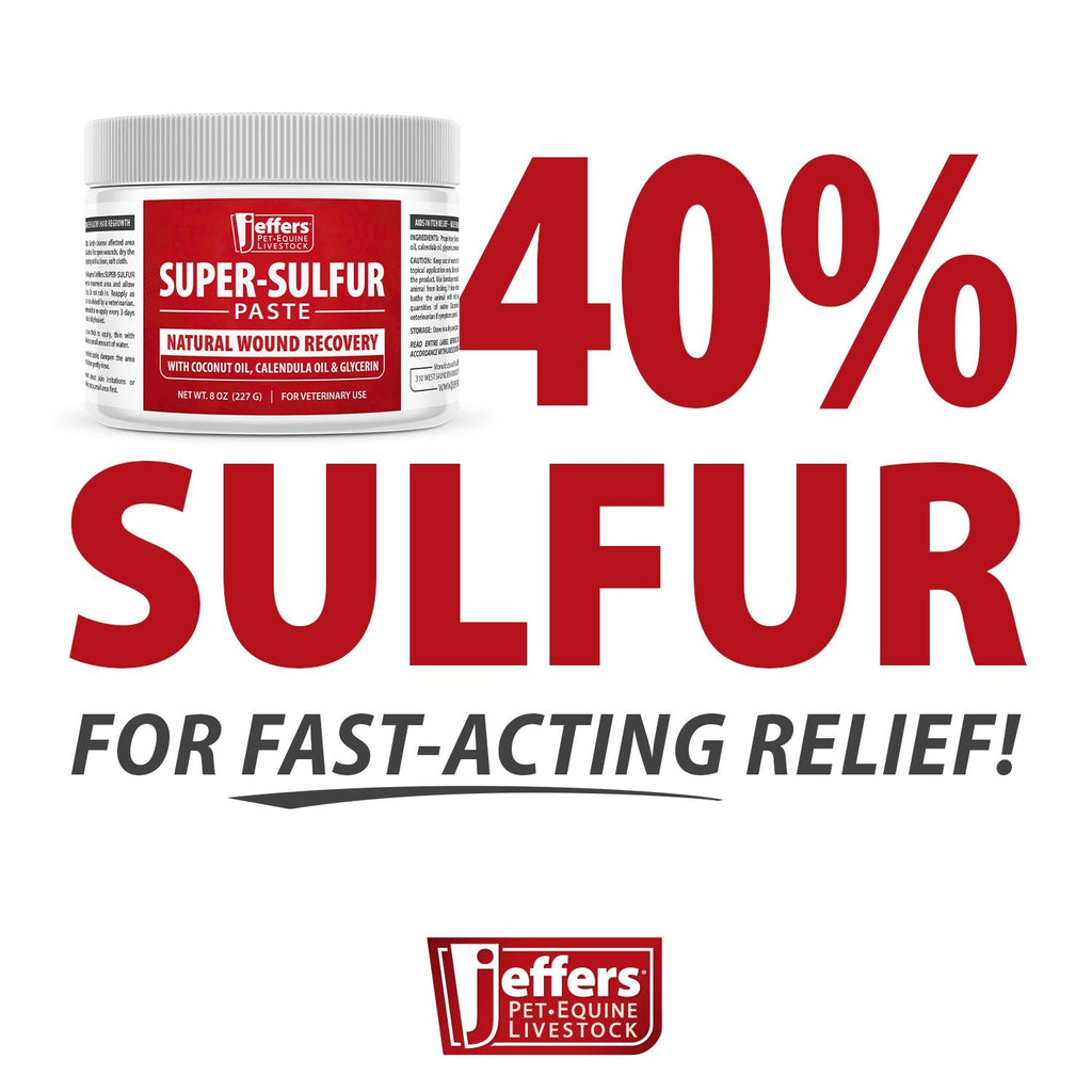 Jeffers Super - Sulfur Skin & Wound Healing Paste for Pets, Horses, & Livestock - Mascotitas