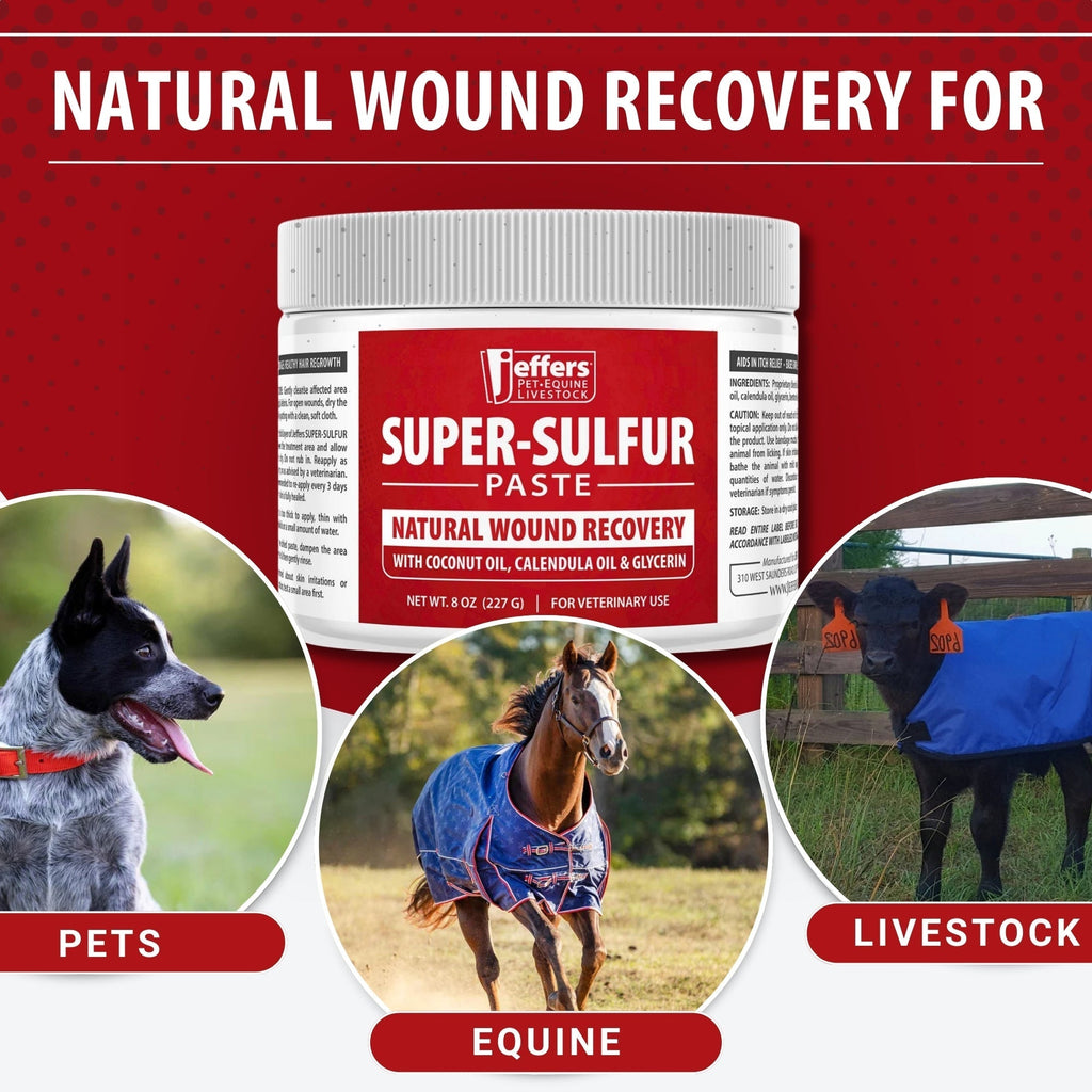Jeffers Super - Sulfur Skin & Wound Healing Paste for Pets, Horses, & Livestock - Mascotitas