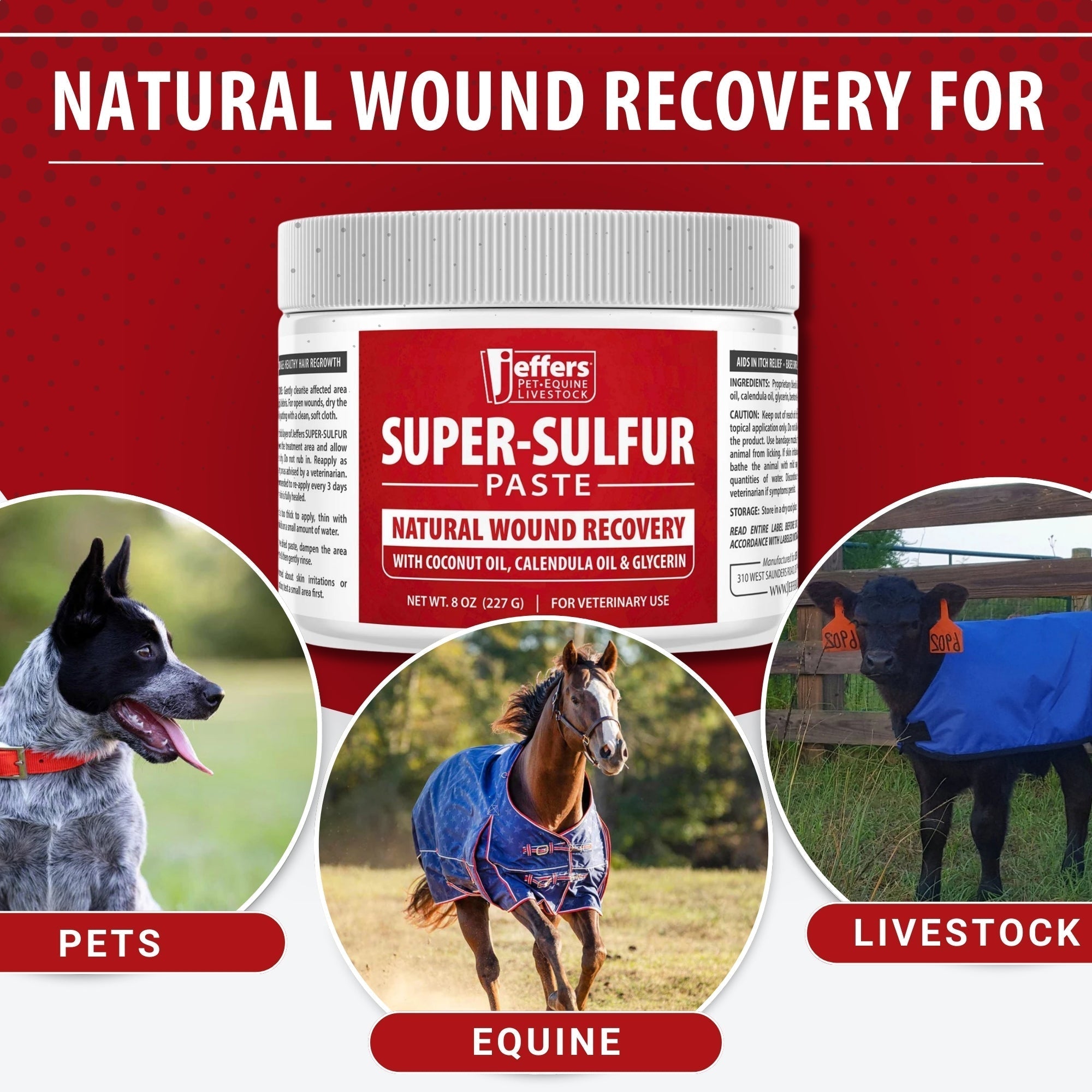 Jeffers Super - Sulfur Skin & Wound Healing Paste for Pets, Horses, & Livestock - Mascotitas