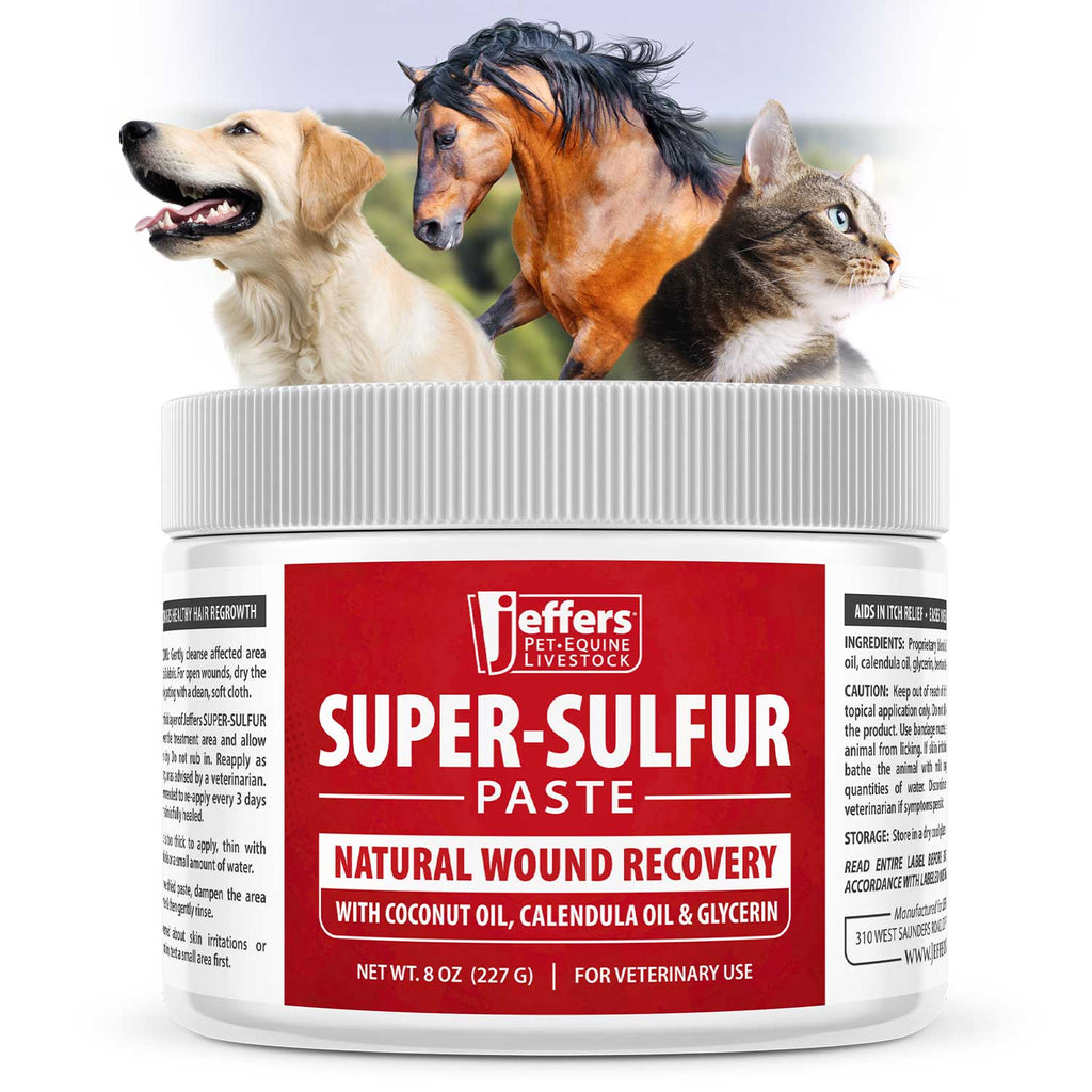 Jeffers Super - Sulfur Skin & Wound Healing Paste for Pets, Horses, & Livestock - Mascotitas