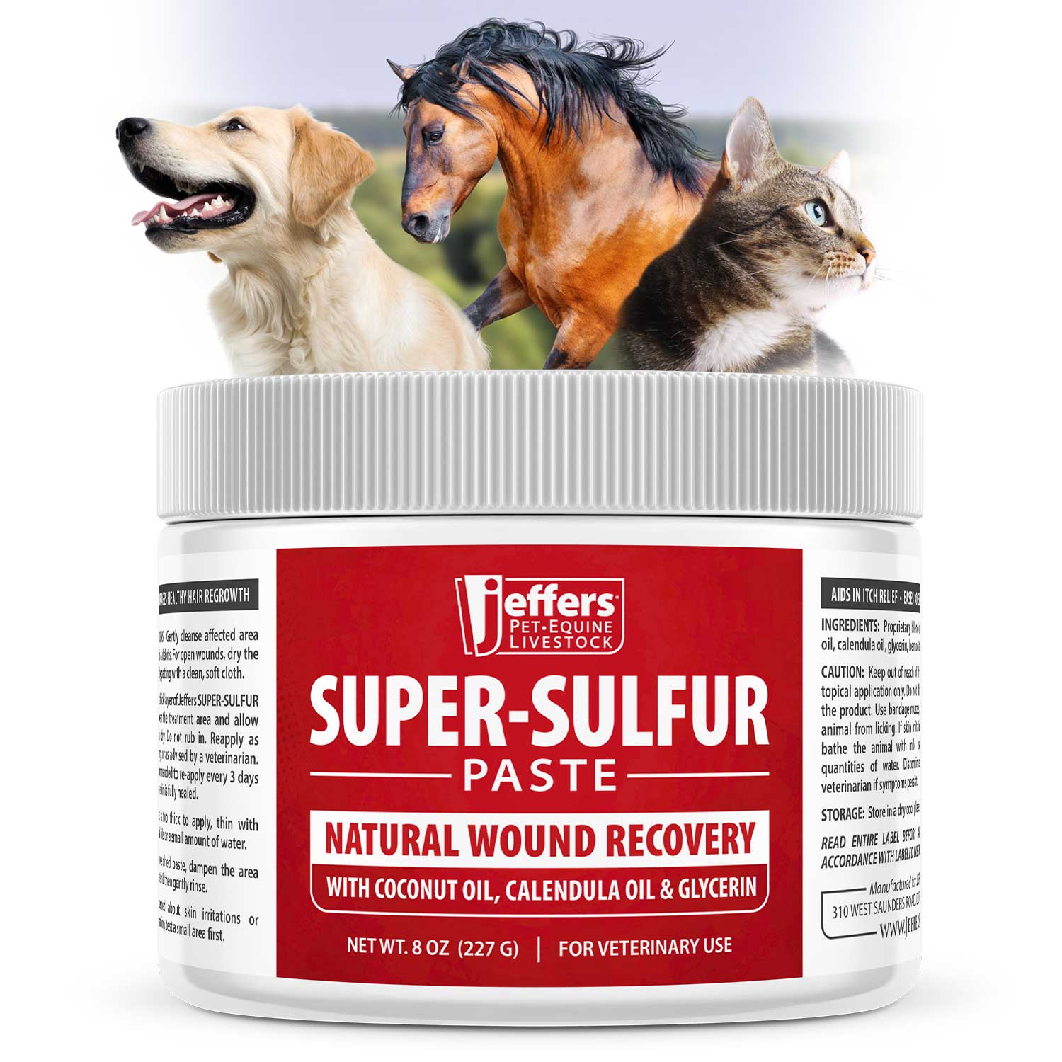 Jeffers Super - Sulfur Skin & Wound Healing Paste for Pets, Horses, & Livestock - Mascotitas